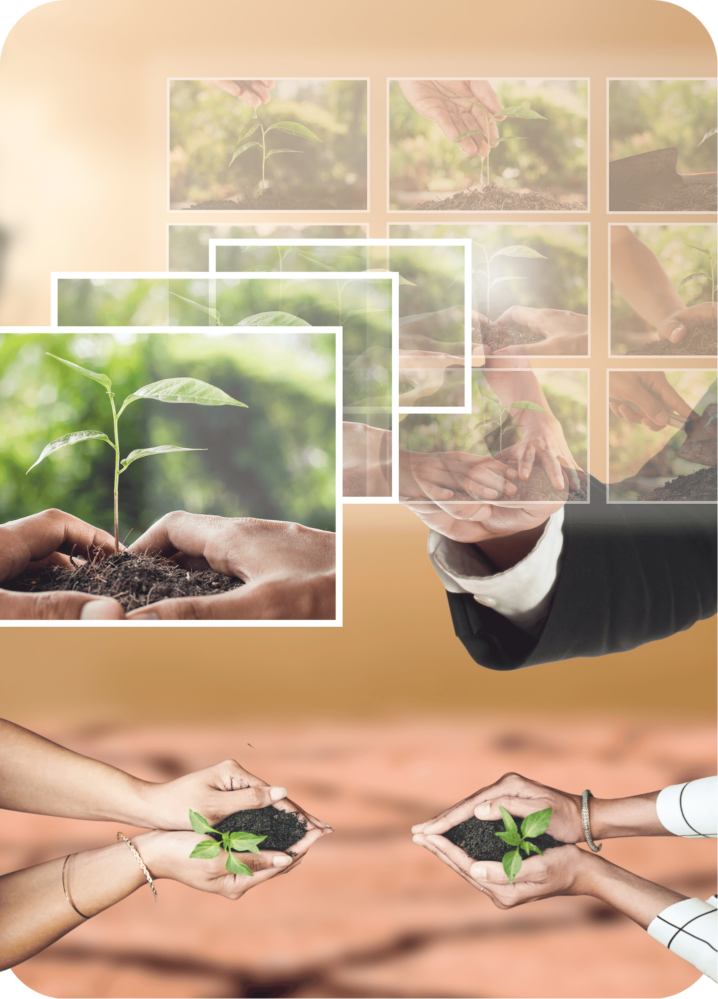 Formation_Devenir_une_entreprise_à_mission_Connect_Learning_2025