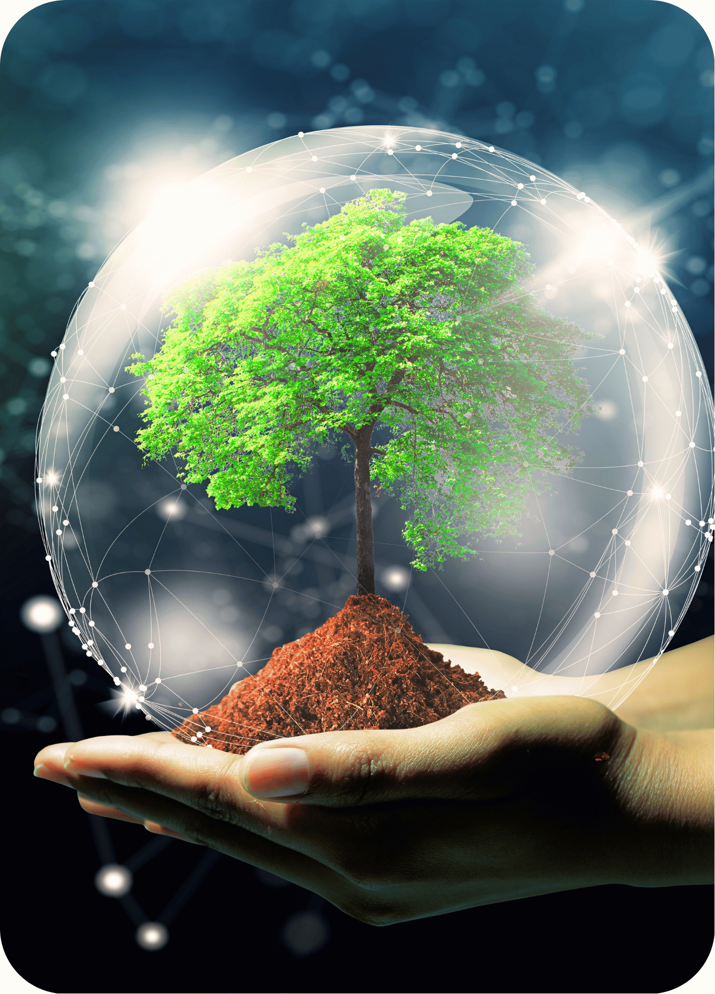 Formation_Maitriser_les_fondamentaux_de_la_RSE__Connect_Learning_2025