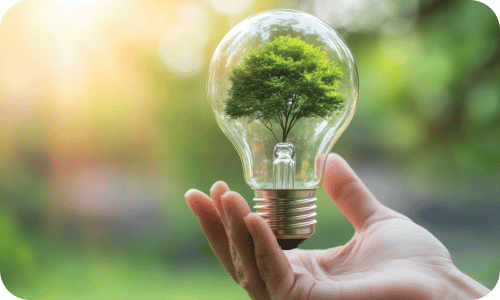 Comprendre les enjeux du développement durable et appliquer les écogestes au quotidien